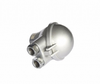 Thermo head